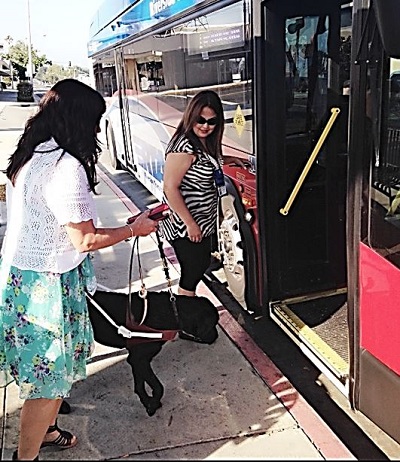 getting on the bus with a guide dog